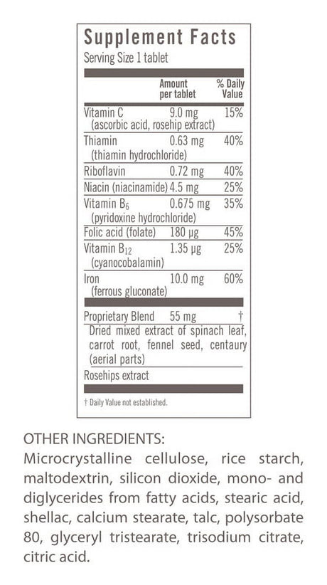 Salus-Haus Floradix Iron Tablets 120 Count