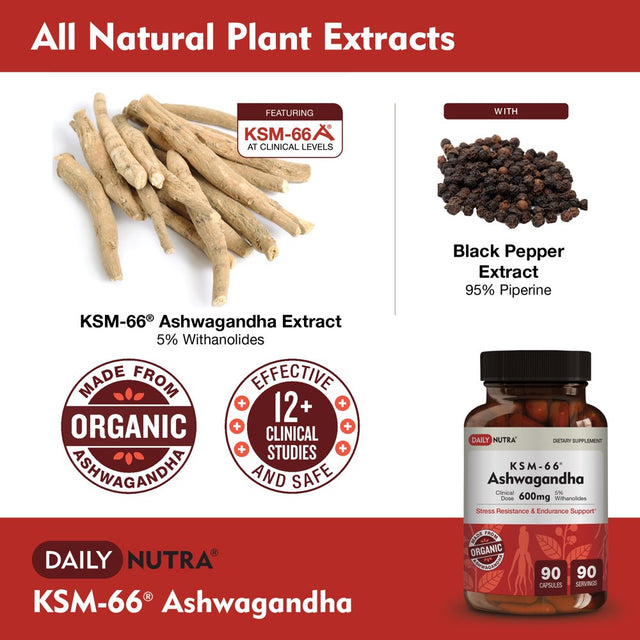 KSM-66 Ashwagandha by Dailynutra - 600Mg Organic Root Extract - High Potency Supplement with 5% Withanolides | Stress Relief, Increased Energy and Focus (90 Capsules)