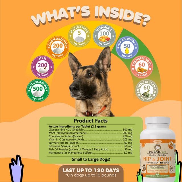 Joint Supplement for Dogs | 60 Turmeric for Dogs Chews plus Fish Oil, Glucosamine for Dogs Chondroitin, MSM + Vitamin C for Dogs | Dog Hip and Joint Supplement Dogs Mobility Support & Dog Pain Relief