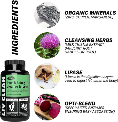 Gains in Bulk LIV Clean Liver and Kidney Cleanse & Repair | Supports Healthy Liver/Kidney Function | Fat and Toxin Reducing Beet Fiber Supplement | 60 Vegetarian Capsules