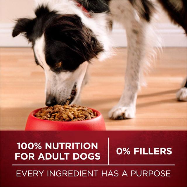 Purina ONE Natural High Protein Dog Food True Instinct with Real Beef and Salmon with Bone Broth and Added Vitamins, Minerals and Nutrients