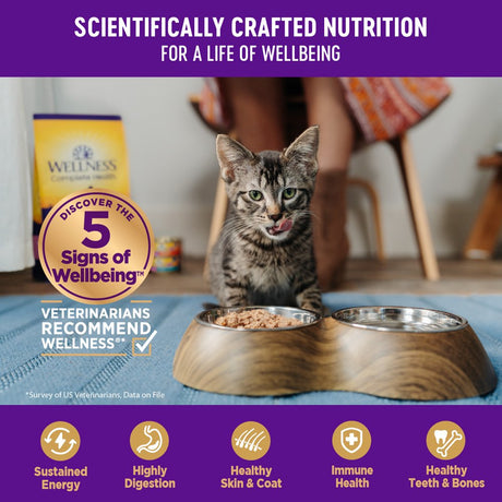 Wellness Complete Health Gravies Grain Free Canned Cat Food, Chicken Dinner, 3 Ounces (Pack of 12)