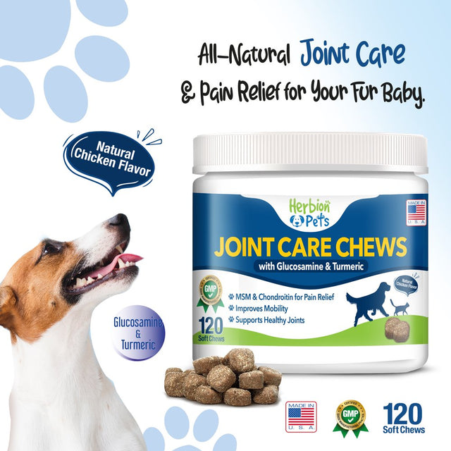 Herbion Pets Joint Care Chews with Glucosamine & Turmeric, 120 Soft Chews - MSM & Chondroitin for Pain Relief - Improves Mobility - Supports Healthy Joints - Made in the USA - for Dogs 12 Weeks+