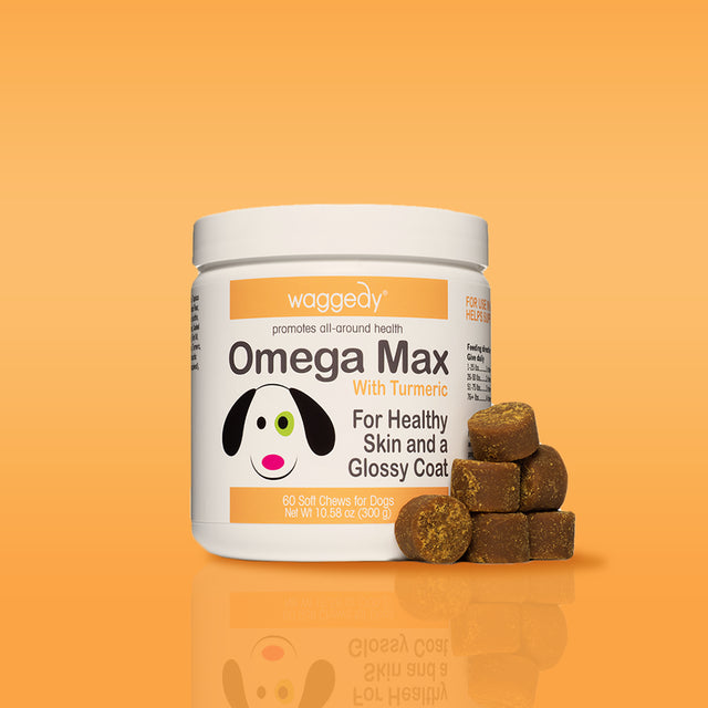 Waggedy Max Omega Chews for Dogs W/ Turmeric & Fish Oil, Supports Immune System (60 Chews)