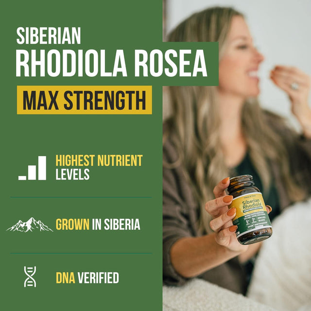 Siberian Rhodiola: Max Strength Rhodiola Rosea - 5% Rosavins, 2% Salidroside - Bioperine Absorption Enhancement, Grown in Siberia, DNA Verified - Reduce Stress, Enhance Energy & Cognition (60 Count)