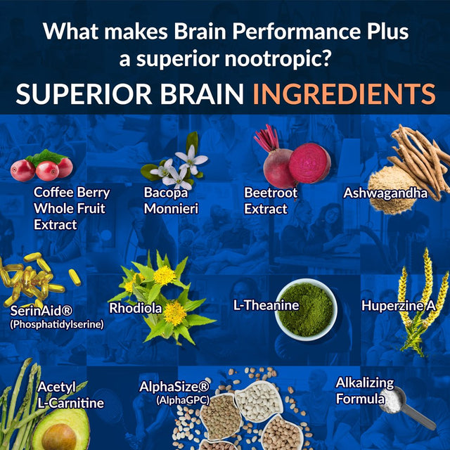 Alkalife Brain Performance plus – First Alkaline Enhancing Nootropic to Maximize Cognitive Potential, Boost Memory, Focus and Mental Clarity, and Support Overall Brain Health – 10Oz