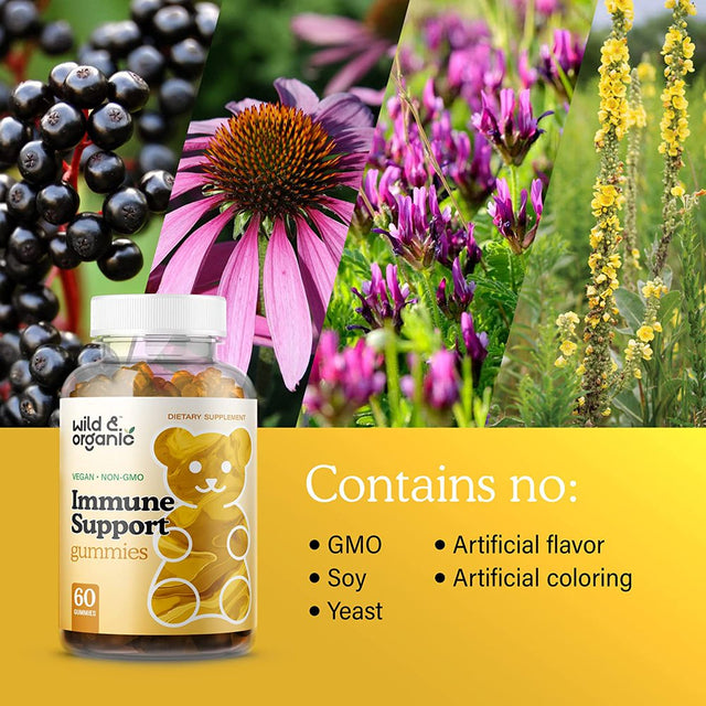 Wild & Organic Immune Support Gummies W/ Elderberry, Echinacea, Vitamin C, D3 & Zinc, 60 Chews