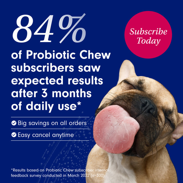 Petlab Co. Probiotic Chews, Delicious Soft Chew Probiotics for Dogs, 30 Ct.