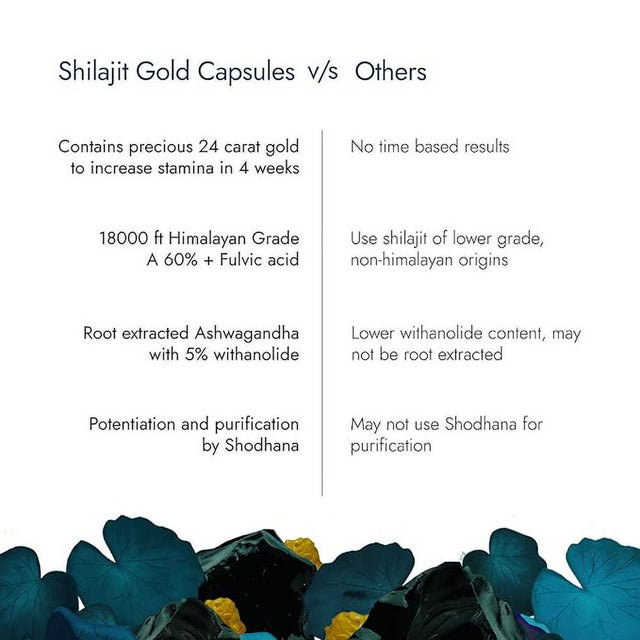 Kapiva Him Foods Shilajit Gold 60 Capsules