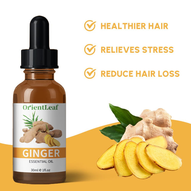 Orientleaf Ginger Massage Oil, Lymphatic Detox Ginger Oil, Belly Drainage Ginger Oil, Slimming Tummy Ginger Oil, Essential Oil for Lymphatic Drainage, Swelling, Massage Ginger Oil, Christmas Gift Kit