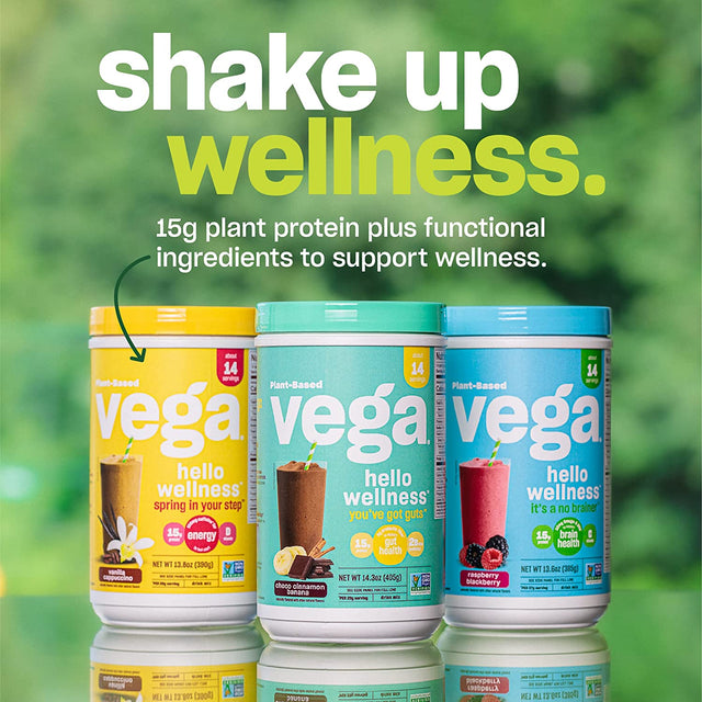 Vega Hello Wellness You’Ve Got Guts Blender Free Smoothie, Choco Cinnamon Banana - Plant Based Vegan Protein Powder, 5G Prebiotic Fiber, 0G Added Sugar, 14.3 Oz (Packaging May Vary)