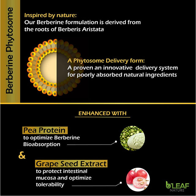 Berberine Phytosome - Superior Absorption - Natural Herbal Supplement – Gluten Free – Non GMO -1100Mg per Serving - 120 Vegetarian Capsules by B’Leaf Nature