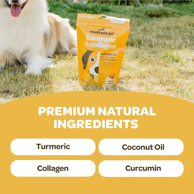 Ready Pet Go! Turmeric & Collagen Supplement for Dogs | Dog Hip and Joint Supplement | Turmeric Curumin Coconut Oil & Collagen | Dog Arthritis Supplement | 90 Dog Soft Chews