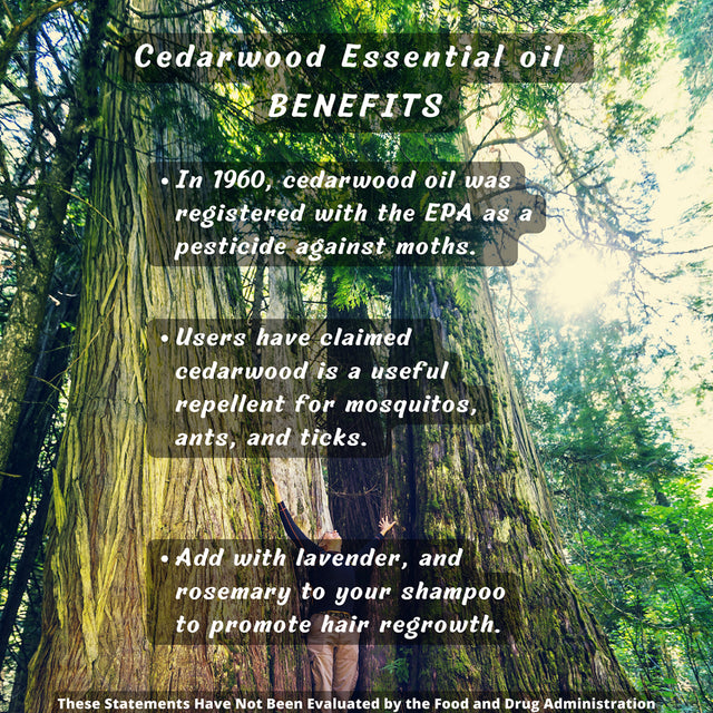 Organic Cedarwood Essential Oil (Texas Cedar) - USDA - 100% Pure Natural - Therapeutic Grade - Undiluted – Keep Skin Healthy - with Glass Dropper.