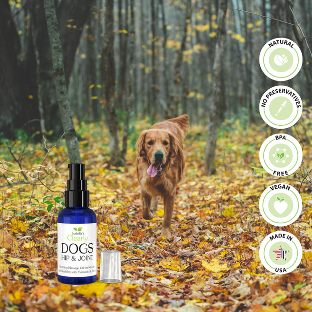 Isabella'S Clearly HIP & JOINT Massage Oil for DOGS with Flax and Turmeric | Support Mobility and Flexibility, Ease Muscle Tension, Reduce Inflammation | Vegan Pet Products Made in USA