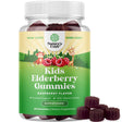 Sambucus Elderberry Gummies for Kids Health - Delicious Black Elderberry Gummies with Zinc and Vitamin C for Kids Immune Support - Gelatin and Gluten Free Non-Gmo Kids Immunity Support Gummies 60Ct