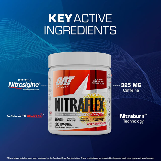 GAT Sport NITRAFLEX Burn, Pre-Workout, Blue Raspberry, 30 Servings