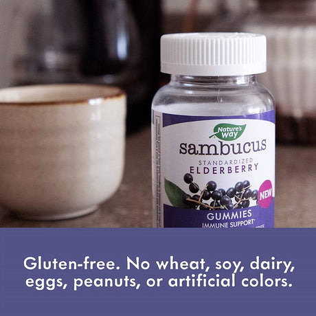 Nature'S Way Sambucus Black Elderberry Gummies with Vitamin C and Zinc, 60 Gummies