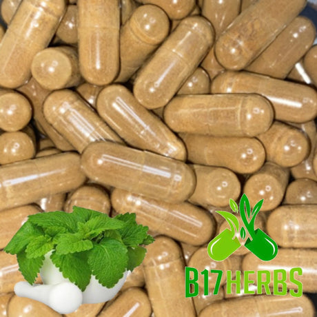 Lemon Balm Extract Caps | Anxiety | Stress | [I]Nsomnia | Nootropic | Relax | Sleep | B17 Herbs Bulk Purchase - 300 Veg.Caps