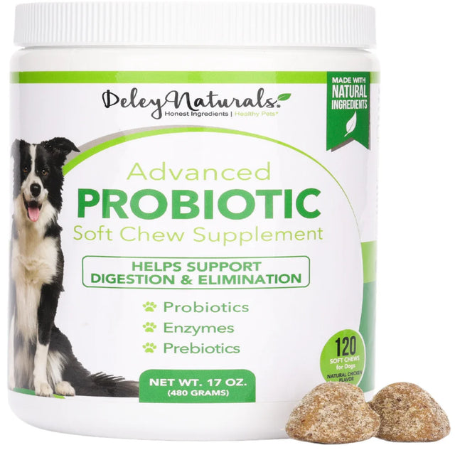 Deley Naturals Probiotics for Dogs, Digestive Enzymes for Dogs, Itch Relief, Dog Probiotic & Prebiotics, Gut Health, 120 Count Soft Chews