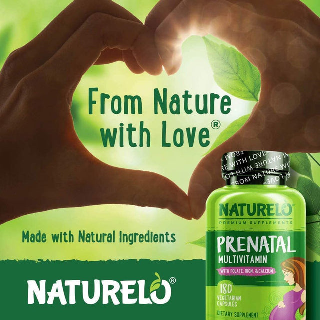 NATURELO Prenatal Multivitamin with Gentle Chelated Iron, Methyl Folate, Plant Calcium & Choline - Vegan, Vegetarian - Non-Gmo - Gluten Free - 180 Capsules