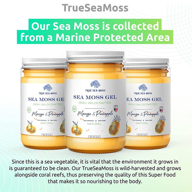 Trueseamoss Wildcrafted Irish Sea Moss Gel – Nutritious Raw Seamoss Rich in Minerals, Proteins & Vitamins – Antioxidant Health Supplement, Vegan-Friendly Made in USA (Mango/Pineapple, 5)