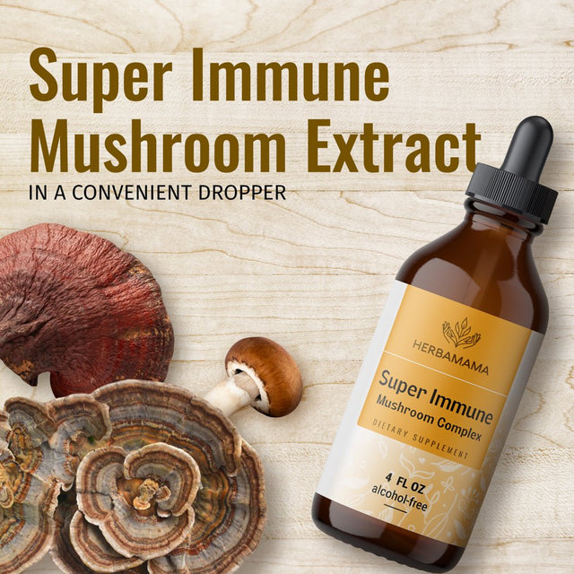 HERBAMAMA Super Immune Mushroom Complex Liquid Extract - Immune Support & Energy Supplement, 4 Fl. Oz