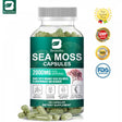 BEWORTHS Organic Sea Moss Capsules 2000Mg with Burdock Root, Irish Moss and Bladderwrack for Joint Health Support & Thyroid Supplement