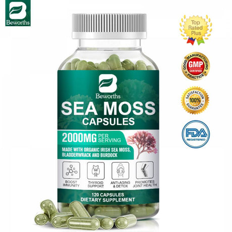 BEWORTHS Organic Sea Moss Capsules 2000Mg with Burdock Root, Irish Moss and Bladderwrack for Joint Health Support & Thyroid Supplement