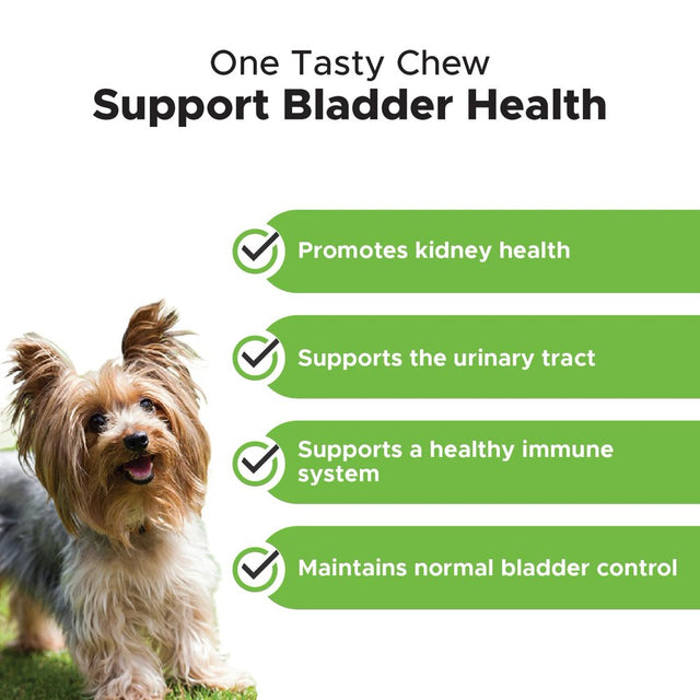 Pet Honesty Dog, Bladder Health Support Cranberry Supplement W Probiotics, Bacon Flavor, 90 Count Soft Chews