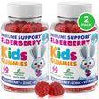 Elderberry Gummies for Kids (2 Pack) Natural Immune System Booster and Health Support with Black Sambucus Elderberries Extract (120 Count)