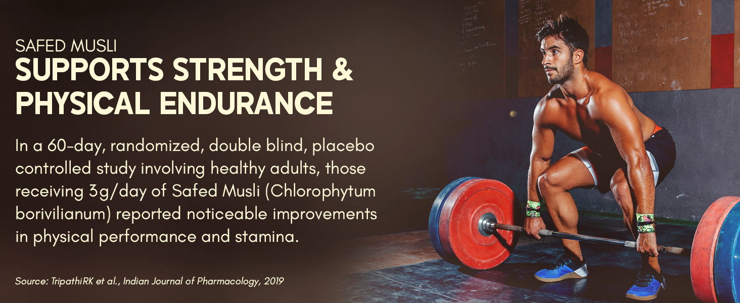 Rasayanam T-Charge Capsules (500mg) | 3-in-1 T - Levels Supplement for Men with Shilajit, Ashwagandha & Safed Musli | Supports Muscle Growth, Energy, Strength, Stamina & Performance - 60 Capsules