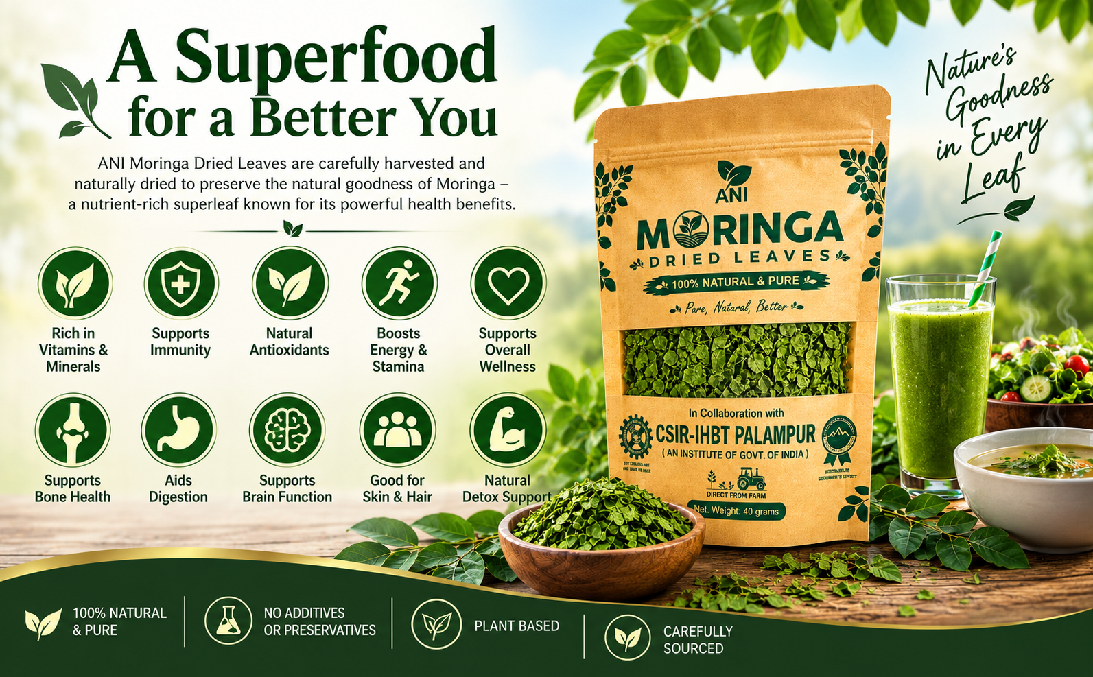 ANI Natural Moringa Dried Leaves 40g | Natural Herbal Leaf – Energy, Detox & Wellness Support | In Association with CSIR -IHBT, Palampur (An Institute of Govt. of India)