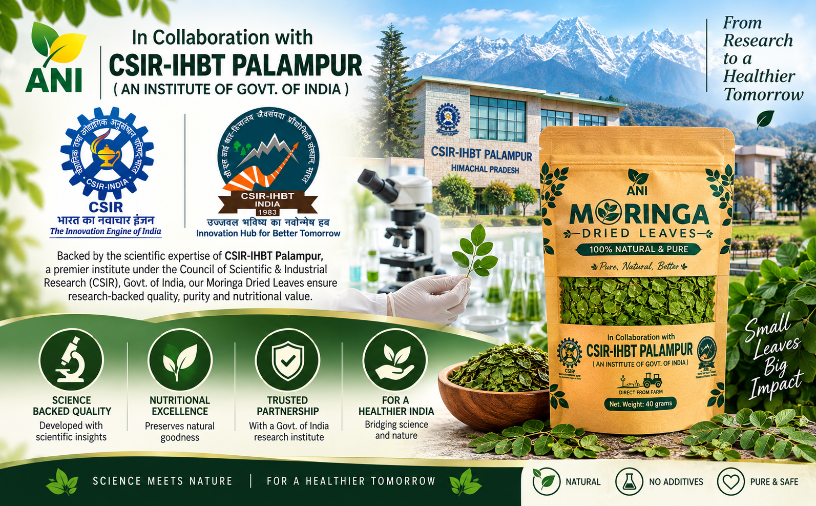 ANI Natural Moringa Dried Leaves 40g | Natural Herbal Leaf – Energy, Detox & Wellness Support | In Association with CSIR -IHBT, Palampur (An Institute of Govt. of India)