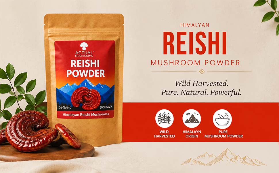 Himalayan Reishi Mushroom Powder, 30 gms