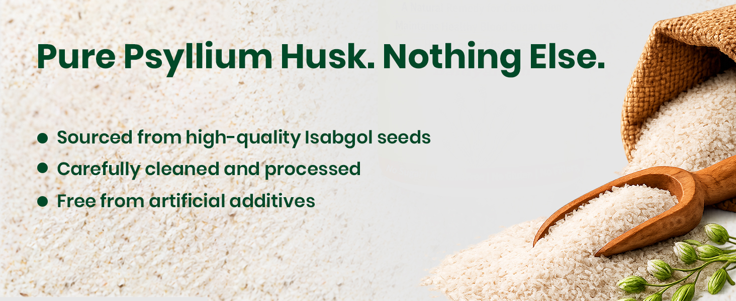 Goodcare Isabgol Psyllium Whole Husk Powder with Fiber 100g