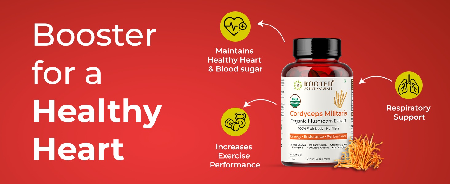 Rooted Active Naturals Organic Cordyceps Militaris Mushroom Extract Capsules, 500mg, 60 Count, Energy, Endurance, Performance (Pack of 2)