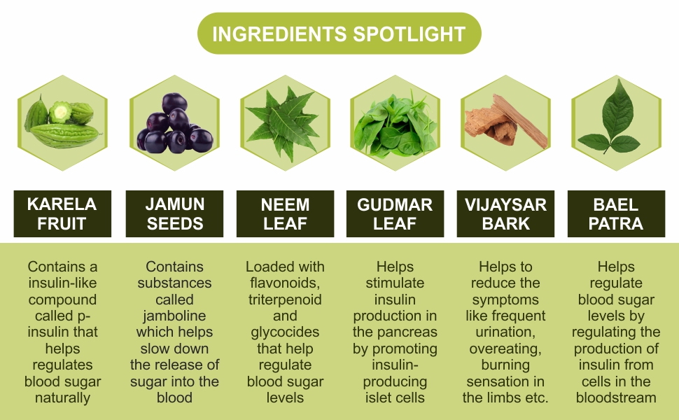 IYUSH Herbal Ayurvedic of Karela Jamun Neem Powder with Gudmar, Vijaysar, and Bael Leaf, (pack of 2), 250gm each