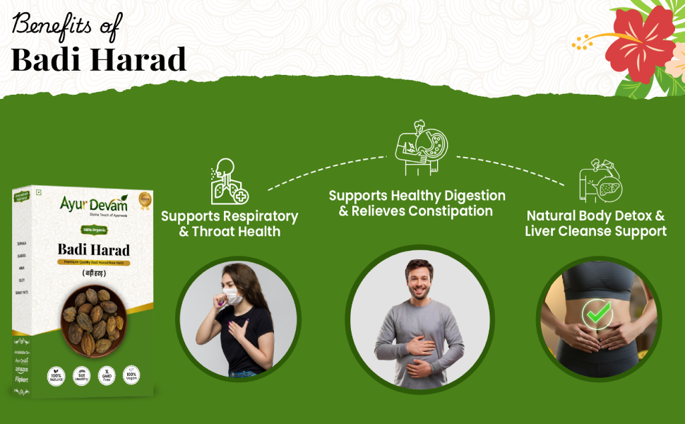 Harad Badi|Bada Harra | Haritaki Badi|Yellow Terminalia Chebula Natural | Badi Harad Whole | Aralu | Inknut | Haritaki | Kadukkai |Harar|Karakkaya |बड़ी हरड़| हर्रा | बड़ी हरीतकी | पीली हरड़ (450 Gram)