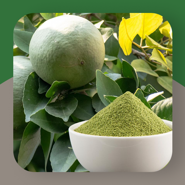 Baelpatra Powder 100 gm | Bilva Leaves, Bel Patra/Leaf, Aegle marmelos | Digestive Health | Diabetes | In Jar 3.53 oz