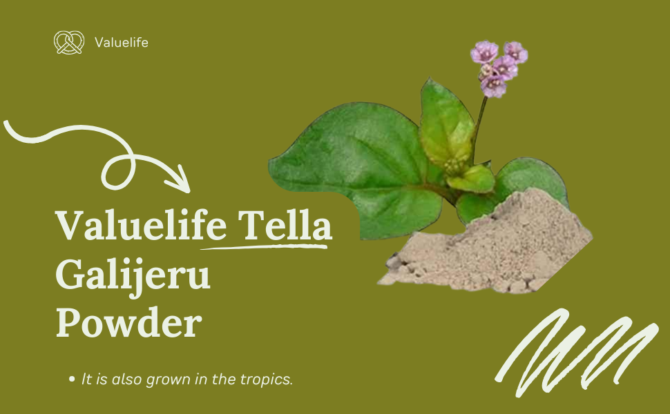 Valuelife Tella Galijeru Powder/Punarnava Powder (100g)