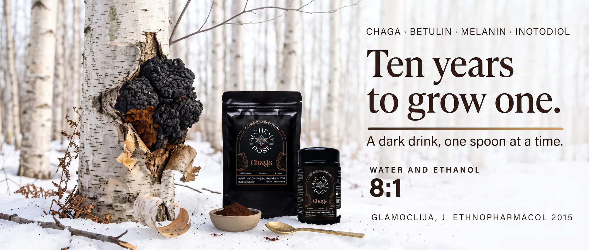 Alchemy Dose Chaga Mushroom Extract Powder 45 g Jar (30 g + 15 g)