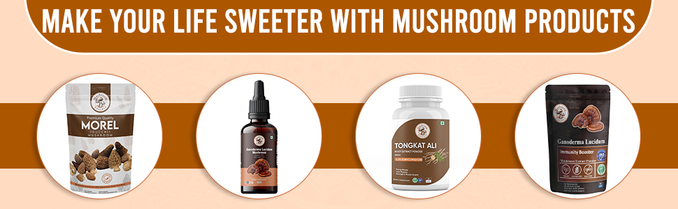 Ganoderma Red Reishi Mushroom Powder Extract 60g - Reishi Mushroom Extract for Immune Support and overall wellness