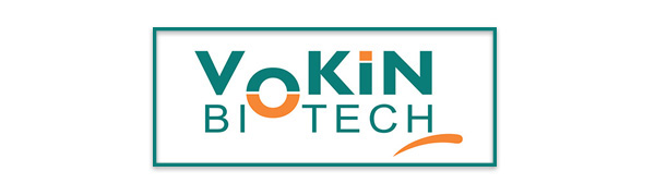 Vokin biotech L- Leucine – Supports muscle Building, Muscle Strengthening – 1000mg (90 Capsules)