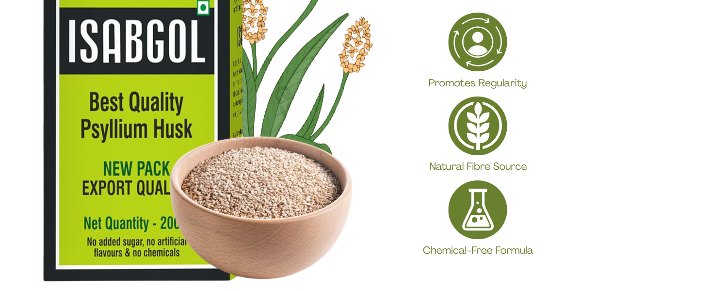 Baidyanath Ayurvedant Isabgol Psyllium Husk Powder, 200 g