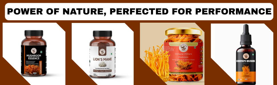 Cordyceps Mushroom | Cordyceps Militaris Extract 500mg-30 capsules | Natural Energy and Endurance Booster - Capsules 30% Beta Glucan