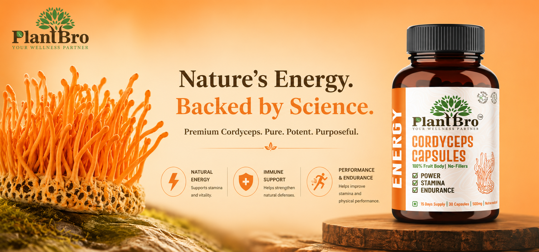 Cordyceps Militaris Extract 30 Capsules - For Stamina, Energy & Workout Recovery - Natural Pre-Workout Alternative for Men & Women - Vegan, Non-GMO, Lab Tested, FSSAI Certified
