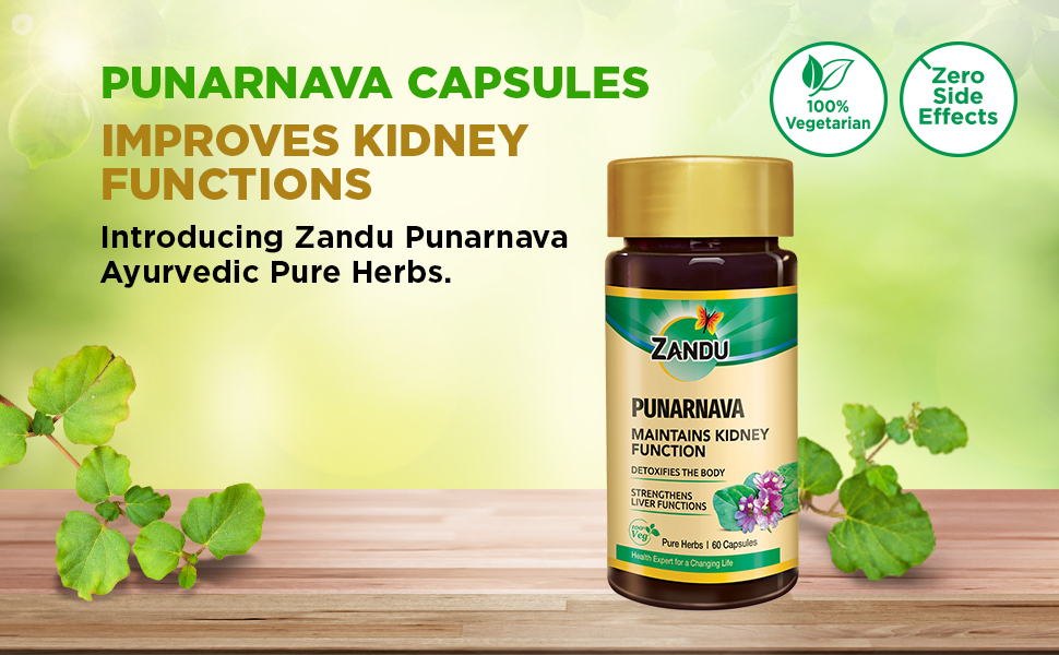 Zandu Punarnava Capsules, With Goodness of Natural Punarnava Extract known for Good Gut Health & for Healthy Appetite, Helps for Heart and Urinary Health - 60 Veg capsules