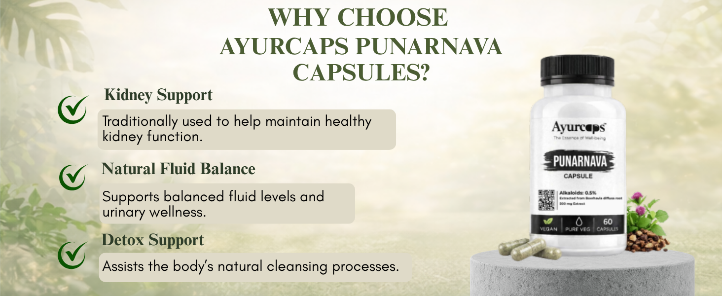 Punarnava 500mg (60 Veg Capsules) | Ayurvedic Kidney And Liver Support Supplement | Helps Maintain Healthy Fluid Balance | Plant-based | No Added Preservatives (Pack of 1)