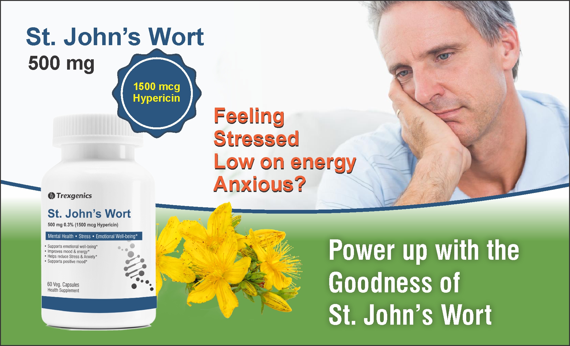 Trexgenics St. JOHN’S WORT 500mg Standardized (0.3% Hypericin) Stress, Mood, Mental health support (60 Vcaps) (1)